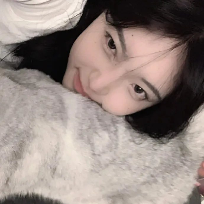 羊狼共和国:猪事大急